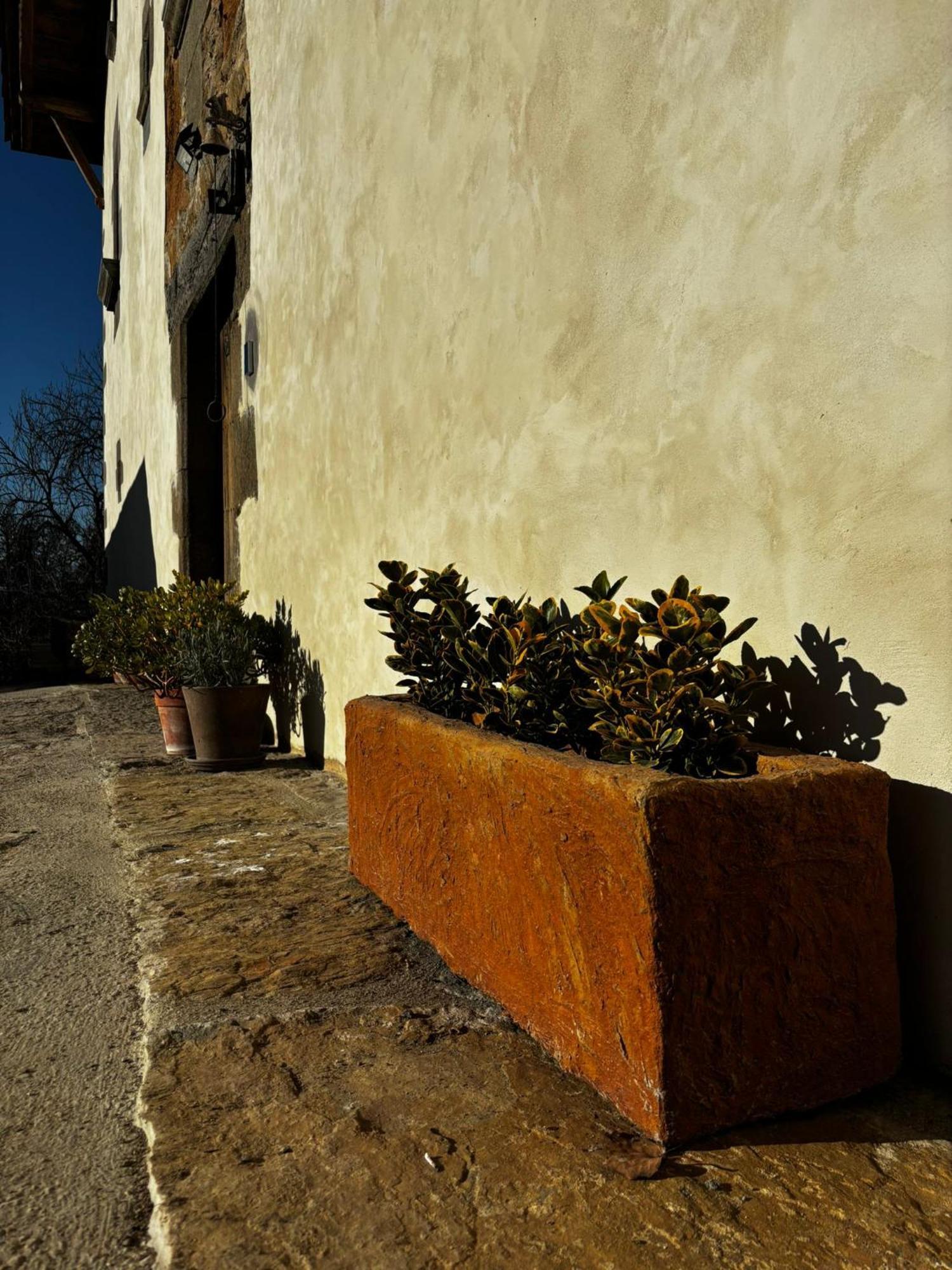 Casa Rural Mas Arimany Cantonigros Esterno foto